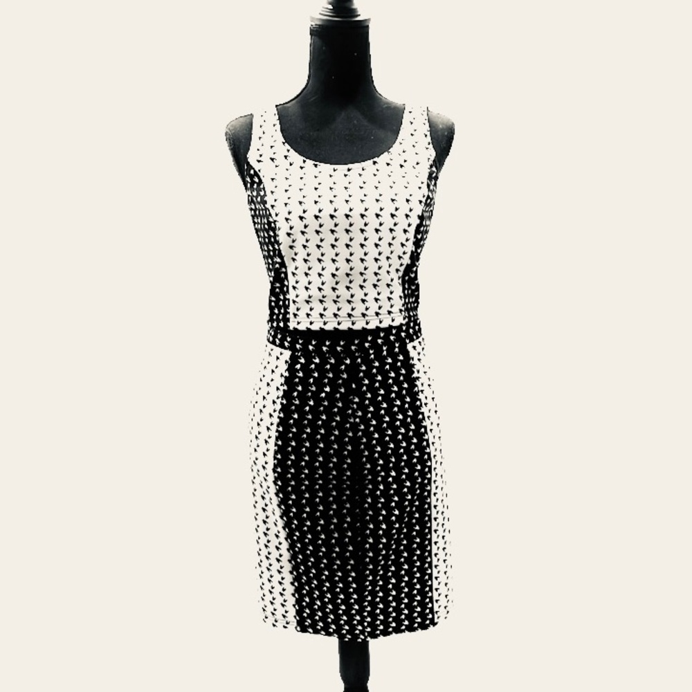 Gianni Bini 2 Piece Skirt Set Black White